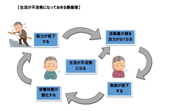 フレイルで起こる悪循環