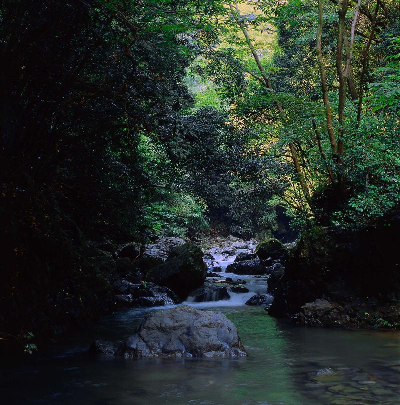 水無瀬川（上流の山吹渓谷）の写真