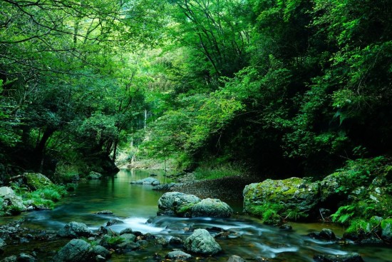 優秀賞「水無瀬川の清流」の写真データ