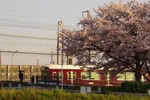 花と阪急電車
