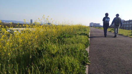 淀川堤防