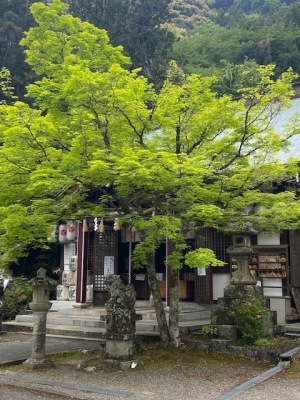 若山神社