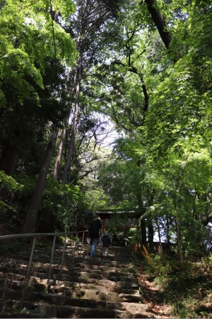 若山神社参道