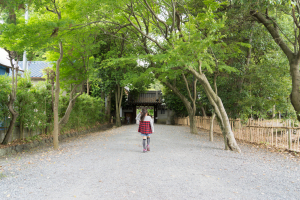 水無瀬神宮参道