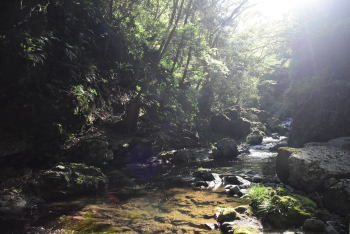 水無瀬川上流