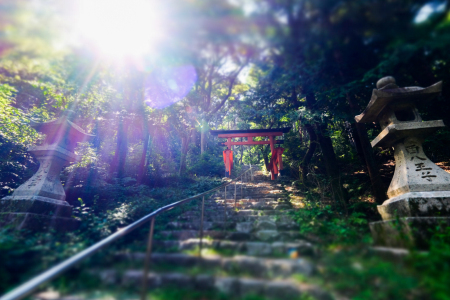 若山神社の参道