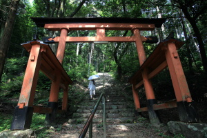 若山神社参道