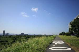 淀川堤防