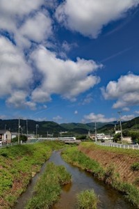 夏の水無瀬川