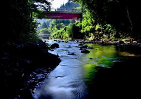 夏の水無瀬川