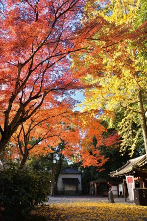 水無瀬神宮の画像