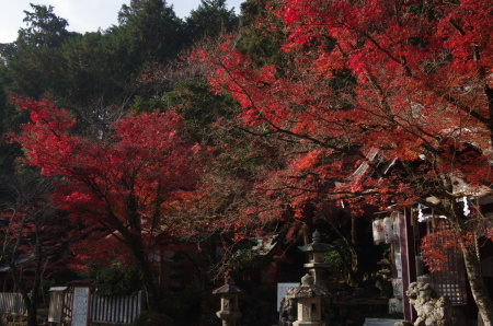 若山神社の画像