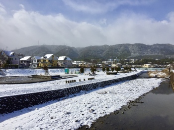 冬の水無瀬川