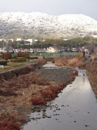 冬の水無瀬川