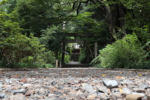 椎尾神社