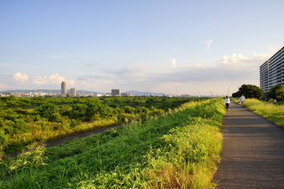 淀川堤防