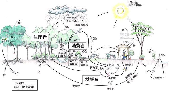 生態系の図