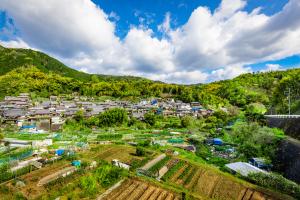 深緑に染まる尺代