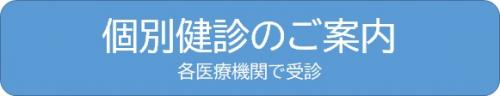 個別健診のご案内