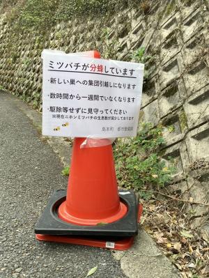 蜂１