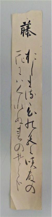 和歌藤画像