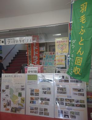 写真①