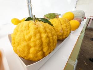 第39回農林業祭２