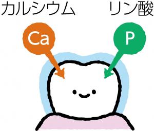 フッ化物の効果2