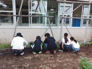 第二小学校2