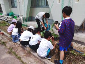 第四小学校1