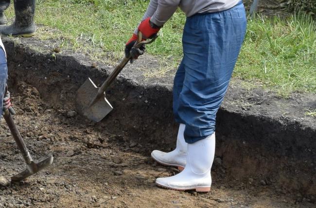 剣スコ使用状況