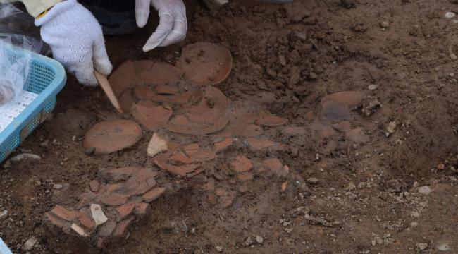 竹ベラ使用状況写真