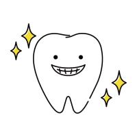 キレイな歯のイラスト