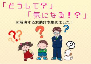 解決本