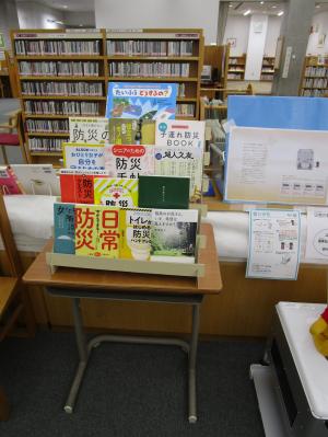 Disaster prevention3