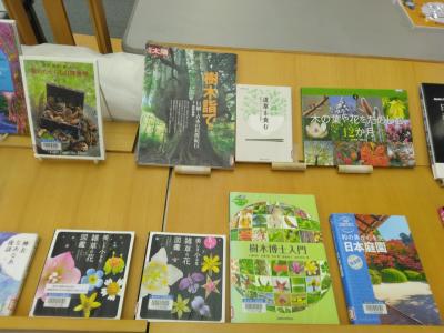 forestgreen3