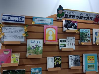 local collection2