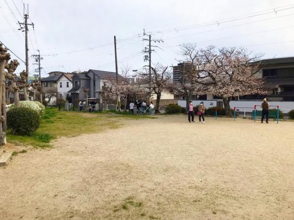 公園の写真その4