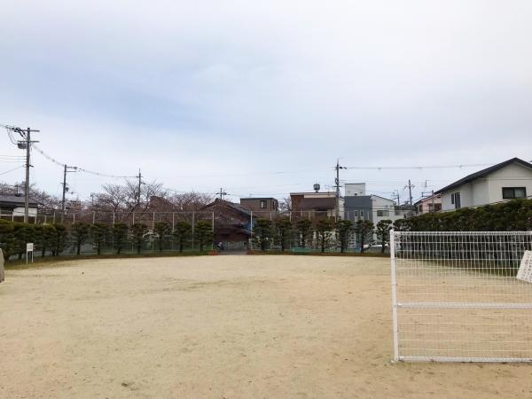 公園の写真その3