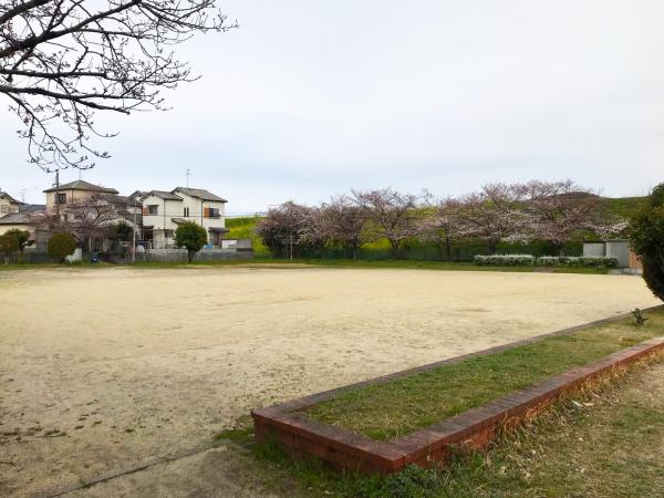 公園の写真その3